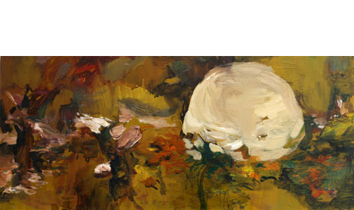 Puffball in the Forest oil on canvas 20x90cm 2007